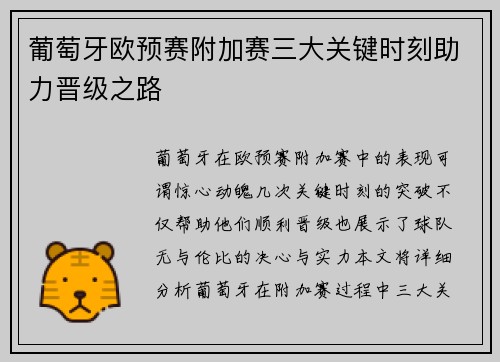 葡萄牙欧预赛附加赛三大关键时刻助力晋级之路