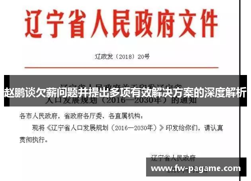 赵鹏谈欠薪问题并提出多项有效解决方案的深度解析
